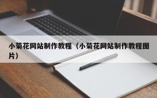 琼海小菊花网站制作教程（小菊花网站制作教程图片）